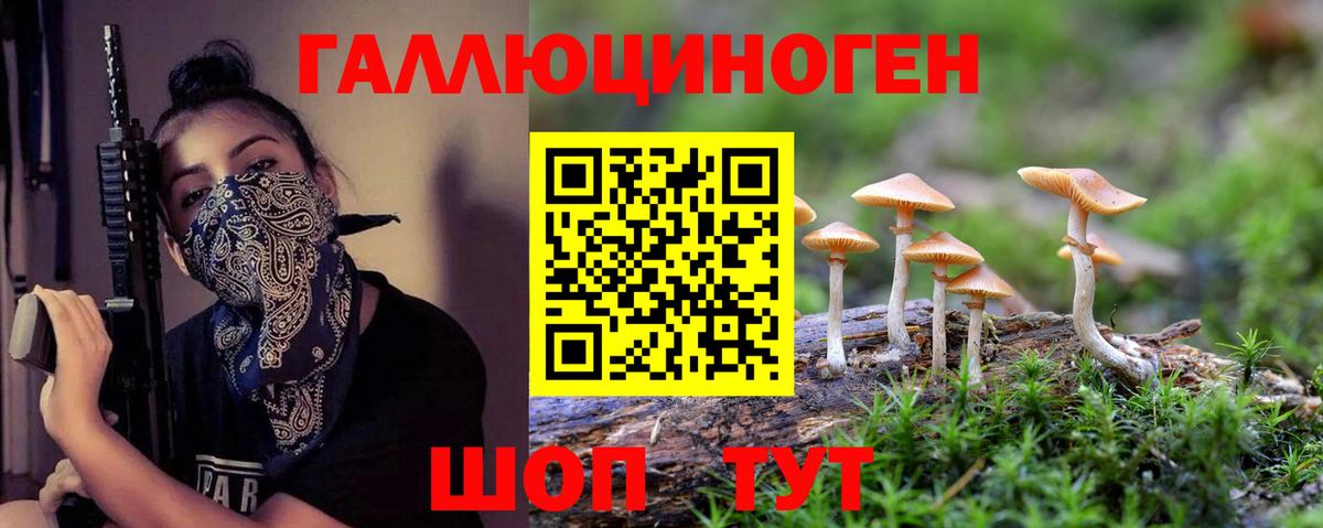 где купить наркотик  Псилоцибиновые грибы мухоморы  Соликамск  Вход с VPN  Псилоцибиновые грибы Cubensis 